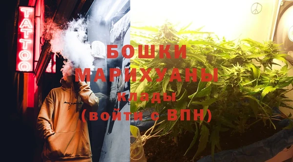 шишки Кукмор