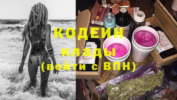 дмт Лагань