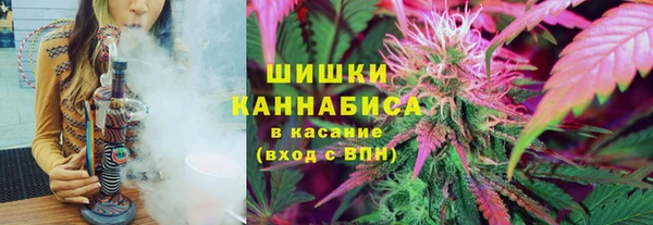шишки Кукмор