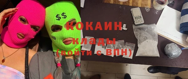 дмт Лагань