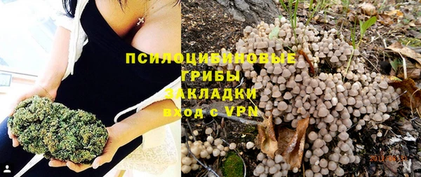 СК Куйбышев